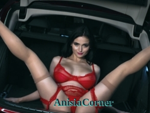 AnisiaCorner