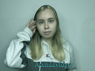 Accadavidge