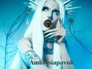 Ambrosiapavuk