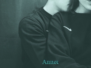 Annet