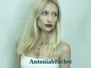 Antoniabracher