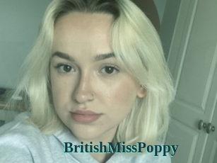 BritishMissPoppy