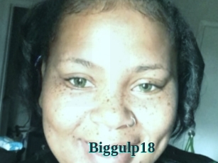 Biggulp18