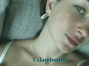 Cclandestina