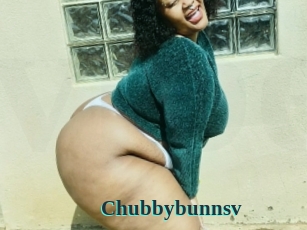 Chubbybunnsv