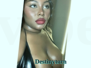 Destinytorn