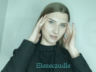 Elenecaudle