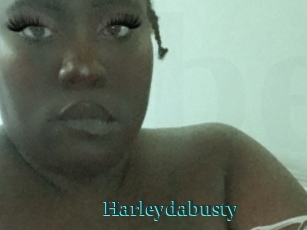 Harleydabusty