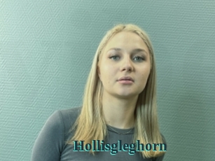 Hollisgleghorn