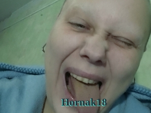 Hornak18