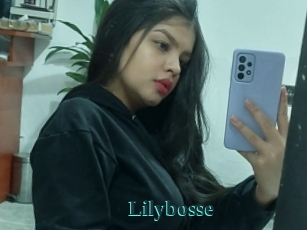 Lilybosse