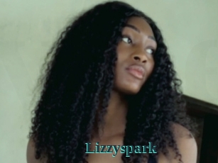 Lizzyspark