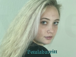 Petulabarritt