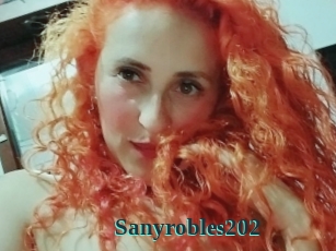 Sanyrobles202