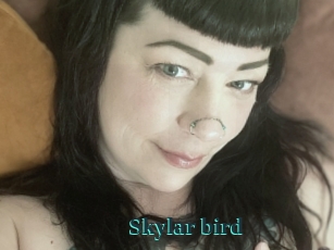 Skylar_bird