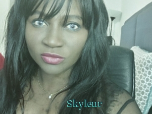 Skyleur