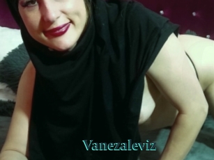 Vanezaleviz