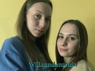 Willaandantonia