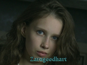 Zaragoodhart