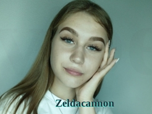 Zeldacannon