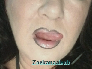 Zoekanaalsub